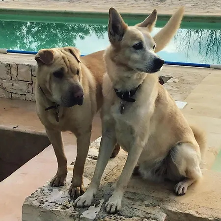 Casa Della Scrittrice