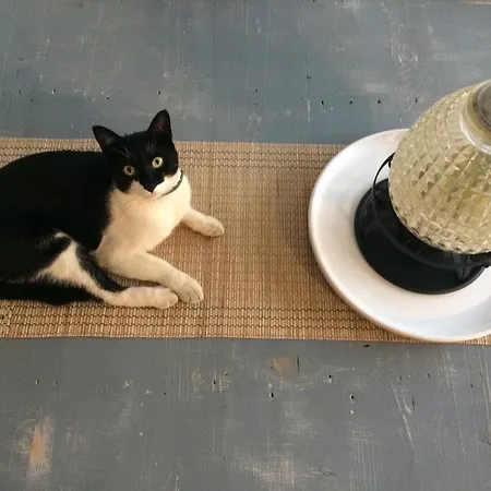 Bed & Breakfast Casa Della Scrittrice 3*