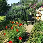 Casa Della Scrittrice Bed and Breakfast