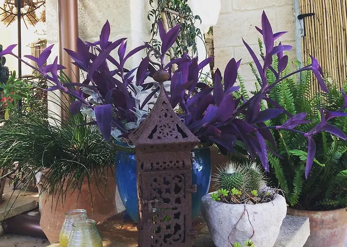 Bed & Breakfast Casa Della Scrittrice Ostuni